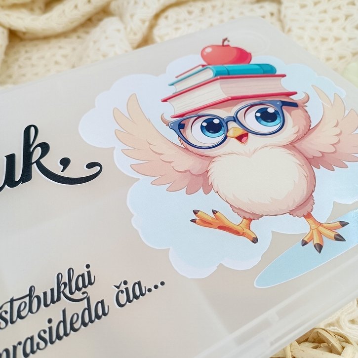 Plastikinė dėžutė su skyreliais kanceliariniams reikmenims  3