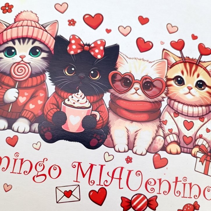 Dovanų dėžutė "MIAUentino diena" 1